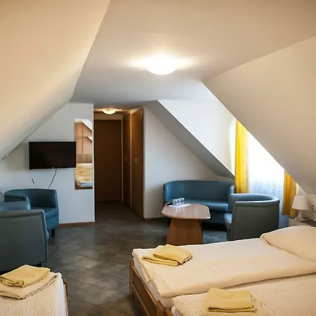 Guest house Eden 4*